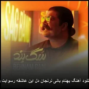 دانلود آهنگ بهنام بانی نرنجان دل این عاشقه رسوایت را دانلود آهنگ بهنام بانی نرنجان دل این عاشقه رسوایت را