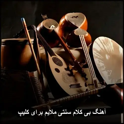 تصویر آهنگ بی کلام سنتی ملایم برای کلیپ | گلچین بهترین قطعات - دانلود با کیفیت 320