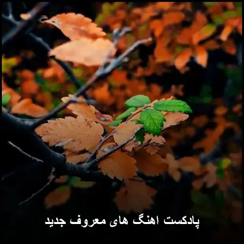 تصویر پادکست اهنگ های معروف جدید 1405 و 2026 - دانلود با کیفیت 320