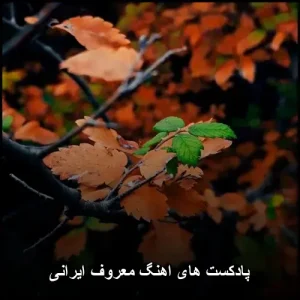 پادکست های اهنگ معروف ایرانی | گردآوری ویژه موسیقی پاپ پادکست های اهنگ معروف ایرانی | گردآوری ویژه موسیقی پاپ