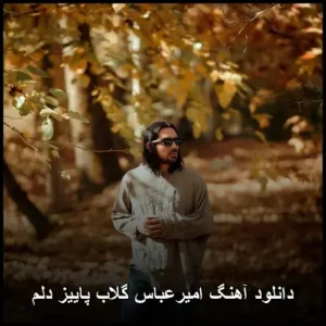 دانلود آهنگ امیرعباس گلاب پاییز دلم دانلود آهنگ امیرعباس گلاب پاییز دلم