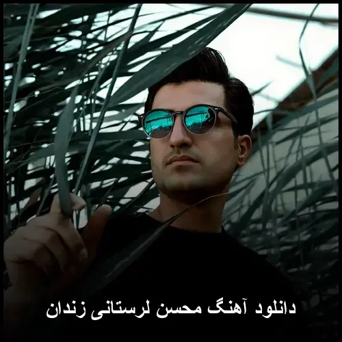 محسن لرستانی - زندان
