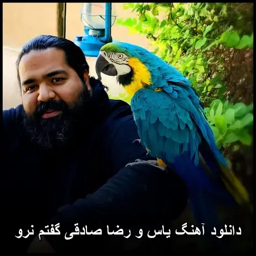 یاس و رضا صادقی - گفتم نرو