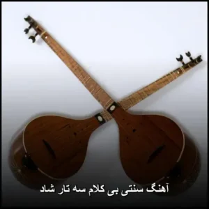 آهنگ سنتی بی کلام سه تار شاد | نوای شورانگیز و دلنشین
