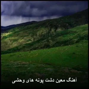 دانلود آهنگ معین دشت پونه‌ها | متن و کیفیت بالا