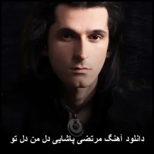 دانلود آهنگ مرتضی پاشایی دل من دل تو | با کیفیت بالا و پخش آنلاین