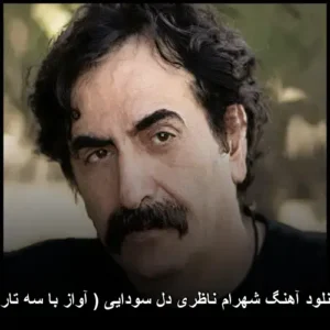 دانلود آهنگ شهرام ناظری دل سودایی ( آواز با سه تار )